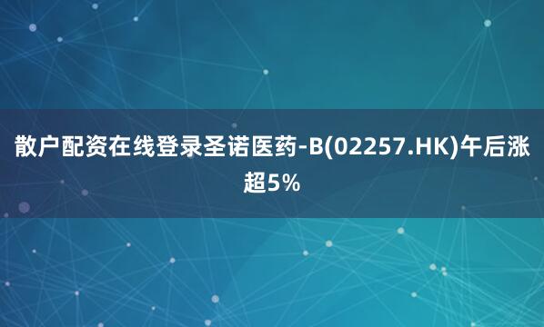 散户配资在线登录圣诺医药-B(02257.HK)午后涨超5%