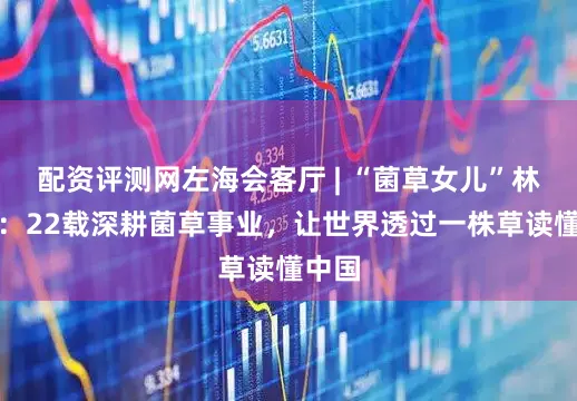 配资评测网左海会客厅 | “菌草女儿”林冬梅：22载深耕菌草事业，让世界透过一株草读懂中国
